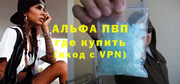 стафф Новозыбков