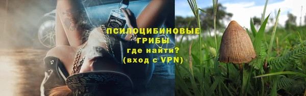 стафф Новозыбков