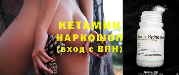 стафф Новозыбков