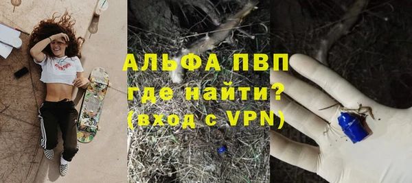 стафф Новозыбков