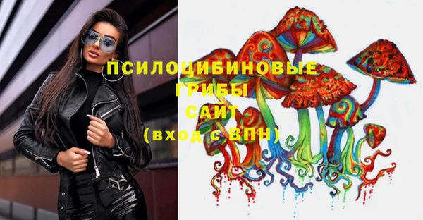 стафф Новозыбков