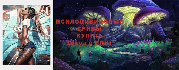 стафф Новозыбков