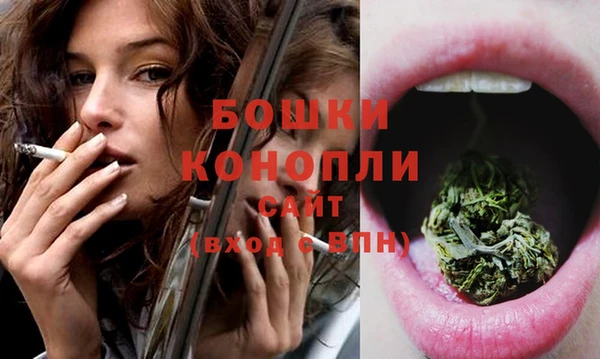 стафф Новозыбков