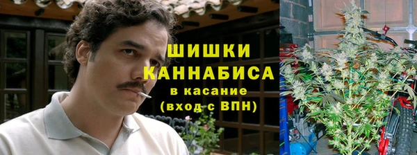 стафф Новозыбков