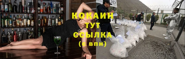 винт Няндома