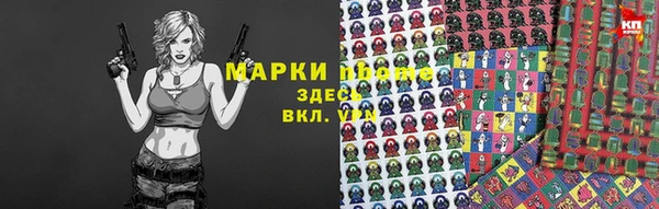 стафф Новозыбков